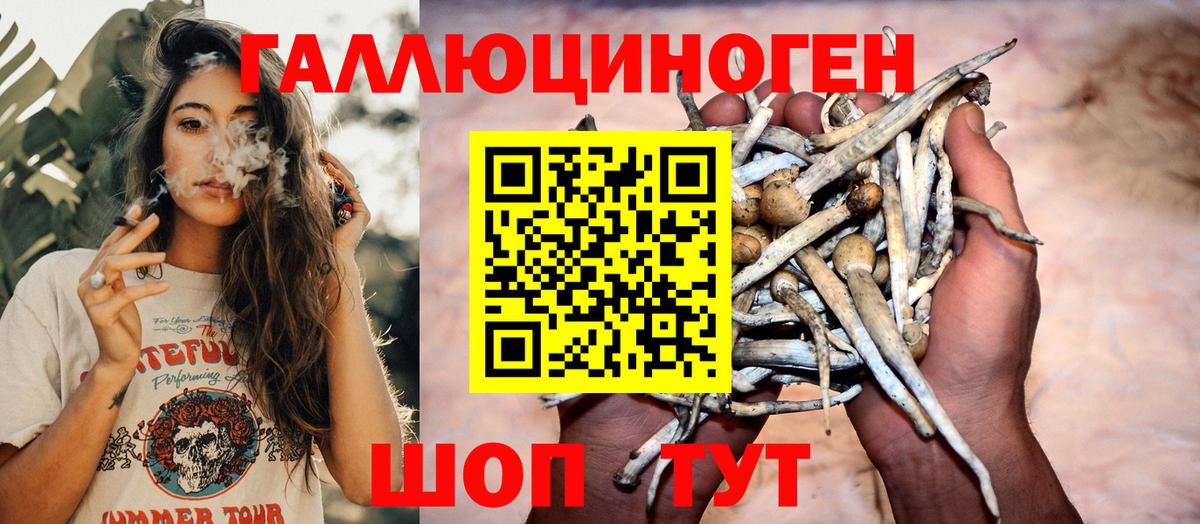 Псилоцибиновые грибы Cubensis Мценск